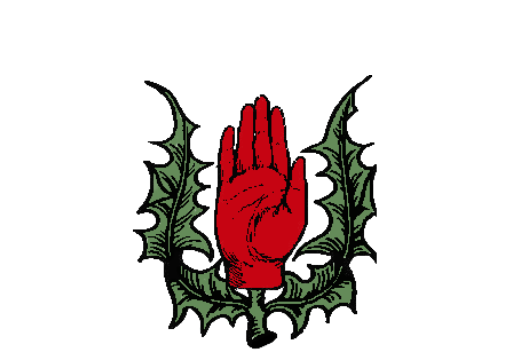 Ulster Scots Association